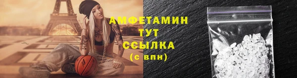 винт Алзамай