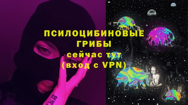 винт Алзамай