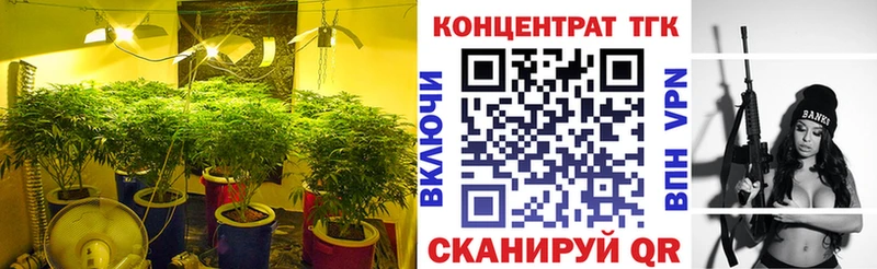 цена наркотик Рыбное ТГК THC oil