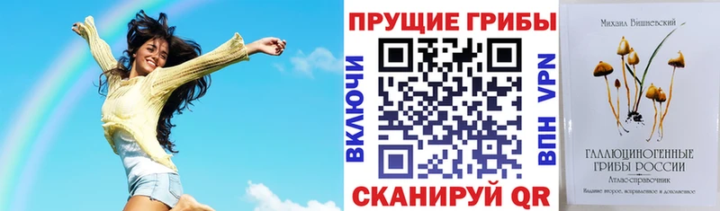 где можно купить наркотик  блэк спрут зеркало  дарк нет наркотические препараты  Рыбное  Галлюциногенные грибы MAGIC MUSHROOMS 